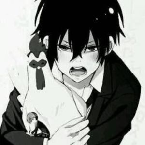 Meet your Posher, Maicey